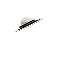 Women's Wide Brim White and Black Hat