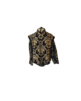 Gold Brocade Doublet-XL